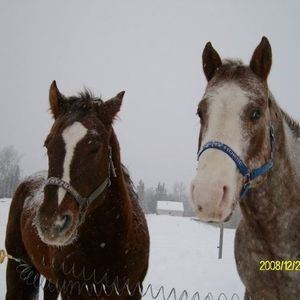 Meet your Posher, Sandy